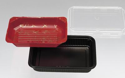Lunch Box Container - two partitions