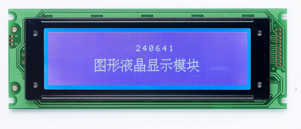 Graphic LCD Module