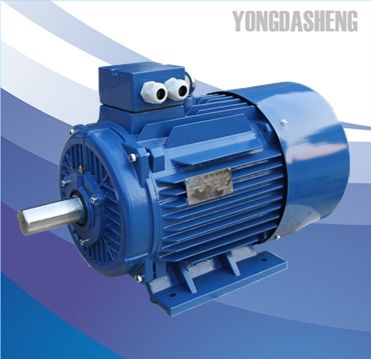 Y2 series Three Phase Cast Iron Housing Electric Motor
