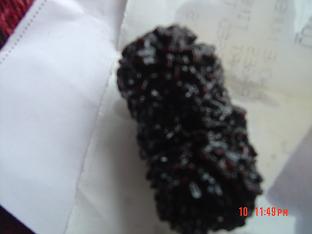 trijuty natural rudraksha , nepal