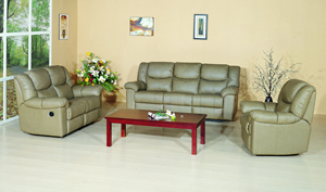 leather function sofa