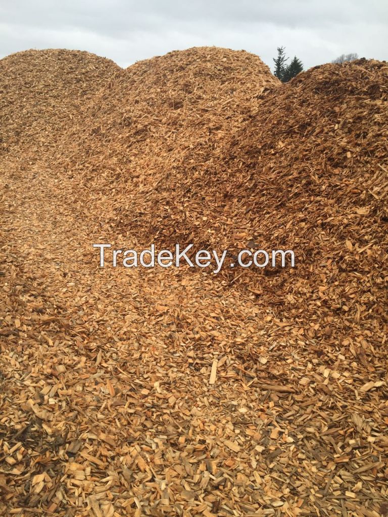 Pine and Eucalyptus wood chips 