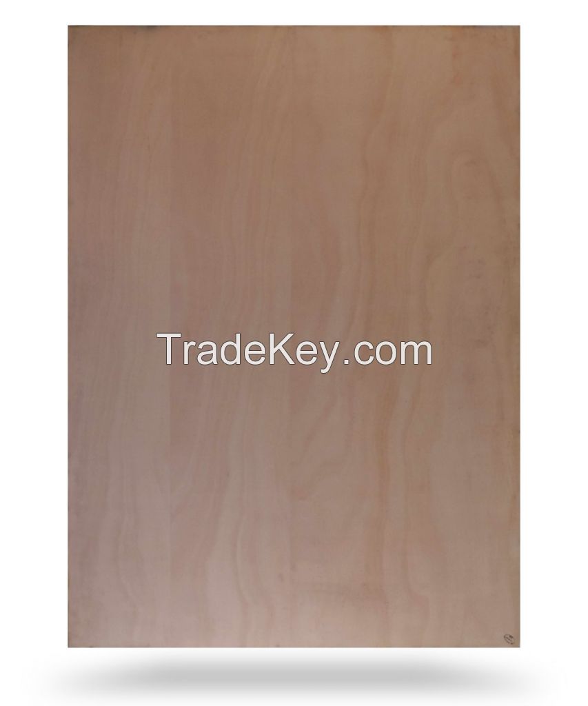 Plywood WBP & MR Glue - Marine , T1-11 etc 