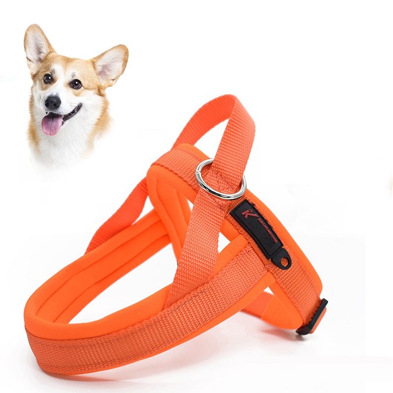 Pet Collar Leash Harness Set