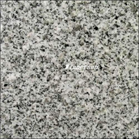 Granite Slab (G603)