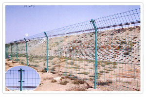 Welded wire mesh