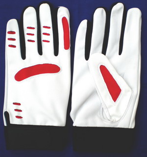 Batting Gloves