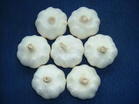 fresh garlic--professional  factroy China