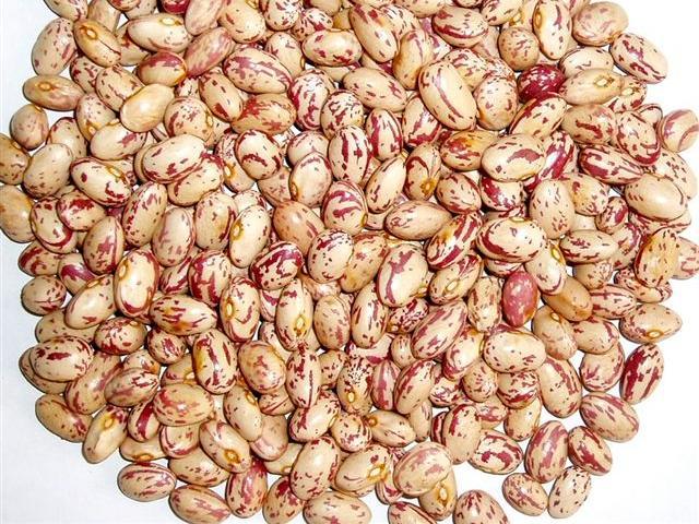 Light Speckled Kidney Beans Long shape. crop2009