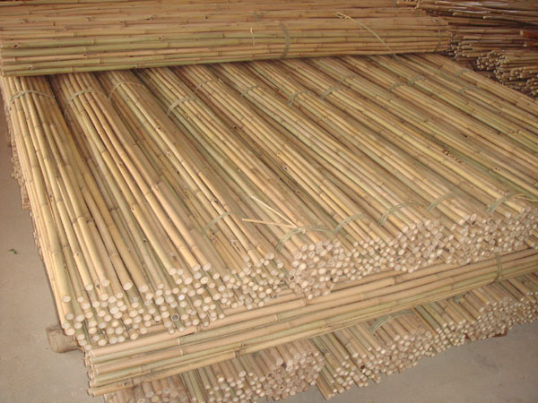 bamboo pole