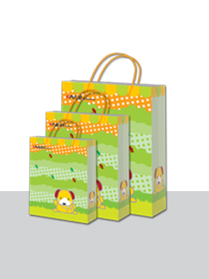 paper bag/shopping bags