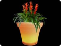 LED Flower pot