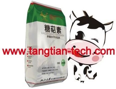 Saccharicterpenin feed additives for cattle