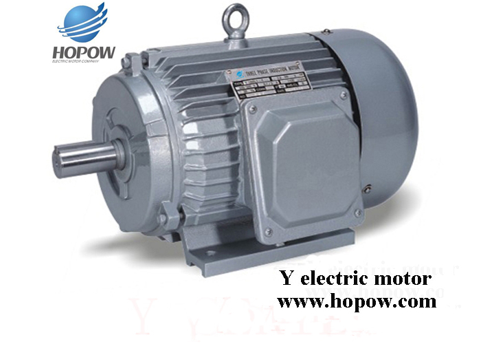 electric motor