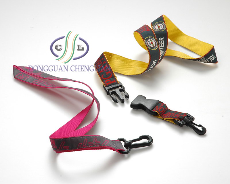 Mp4 Lanyard