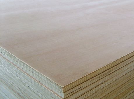 POPLAR PLYWOOD