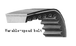 Variable Speed Belt