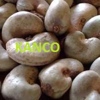 Wholesale Cashew Nut | Discounted Cashew Nut | Bulk Cashew Nut | Cashew Nut Suppliers | Cashew Nut Exporters | Cashew Nut Manufacturers | Cashew Nut Buyer | Import Cashew Nut | Cashew Nut Importers