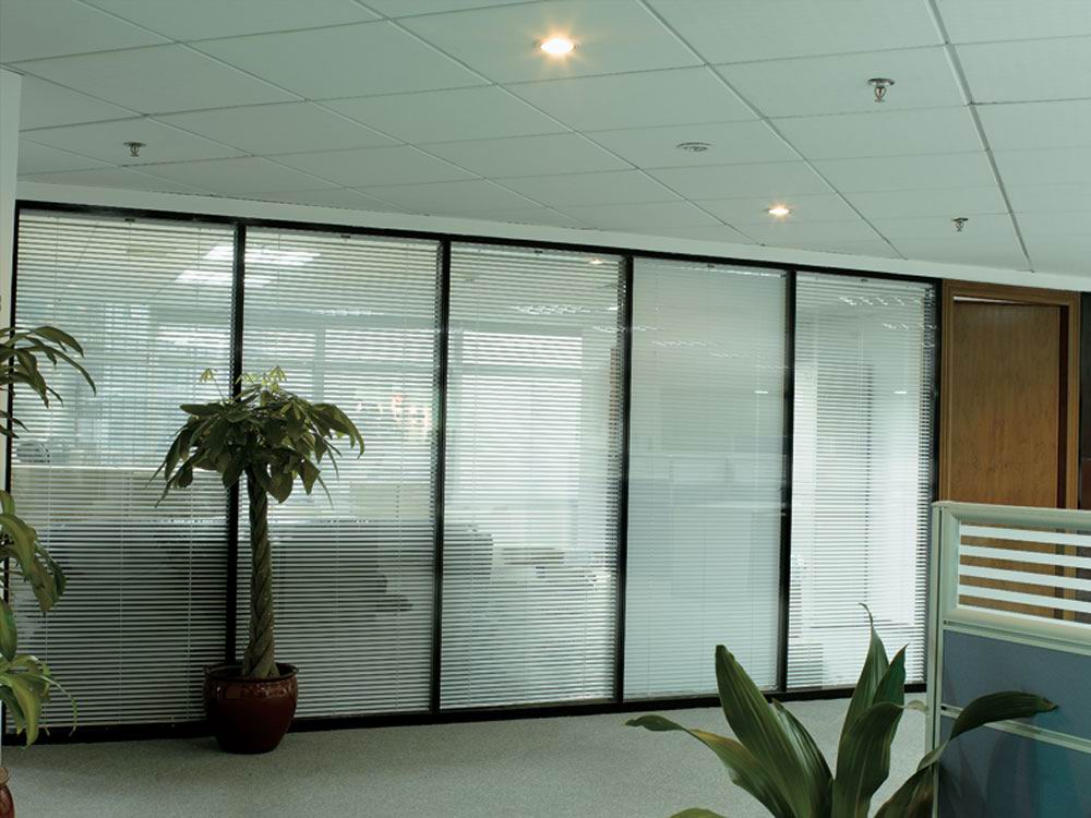 Insulated glass blinds