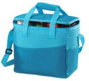 Cooler Bag