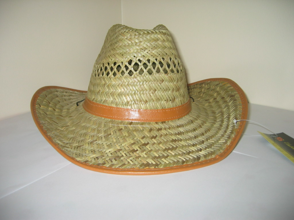 cow boy straw hat