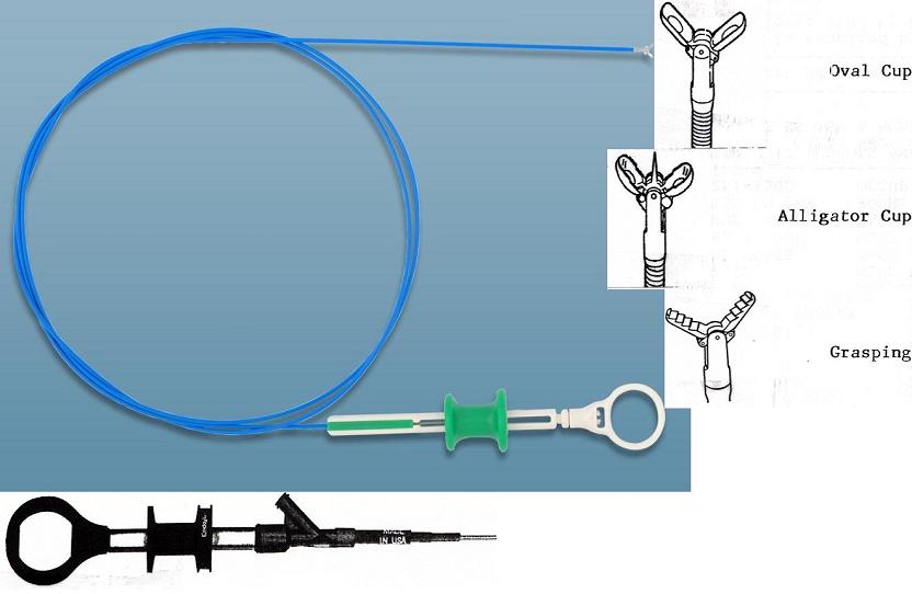 Disposable and Reusable Biopsy Forceps