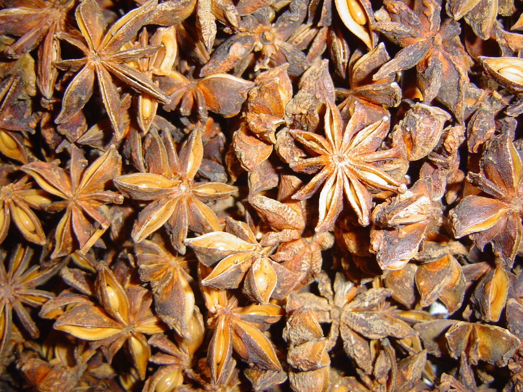 star aniseed