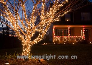 Sell LED Light String - LED Rope Lights -LED Tree Decoration Lights-