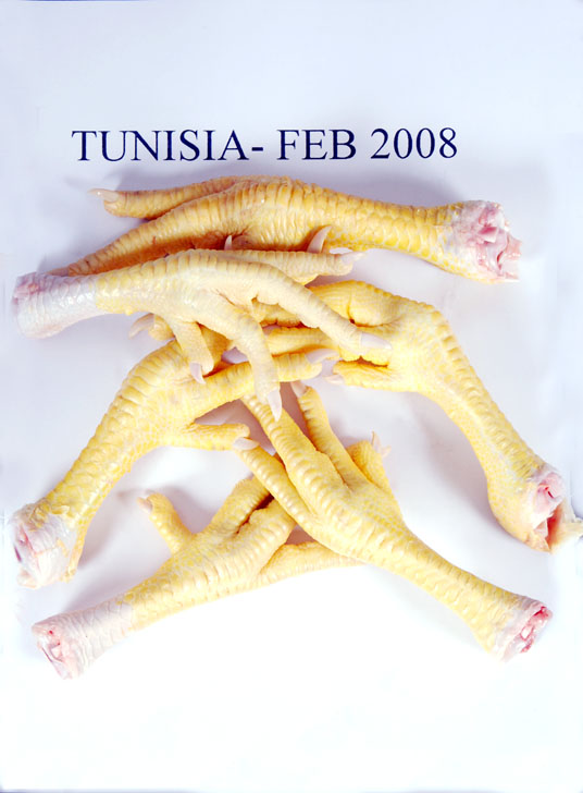 frozen unprocessed chicken feet