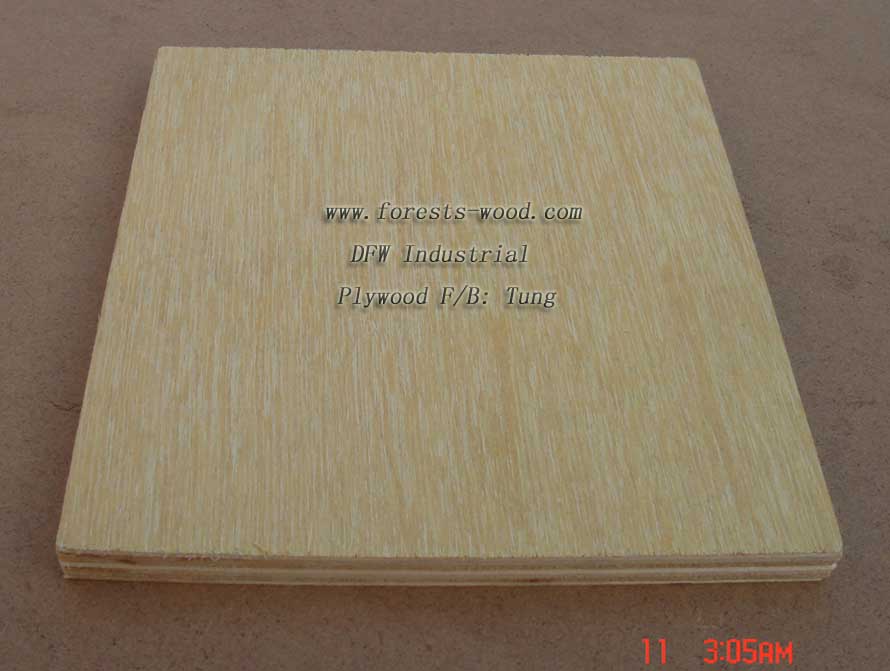 plywood001