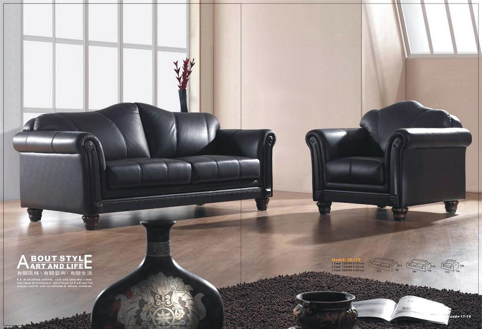 leather sofa2