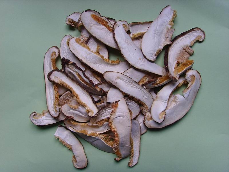 Dried Mushroom Slice