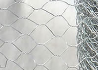 Hexagonal mesh