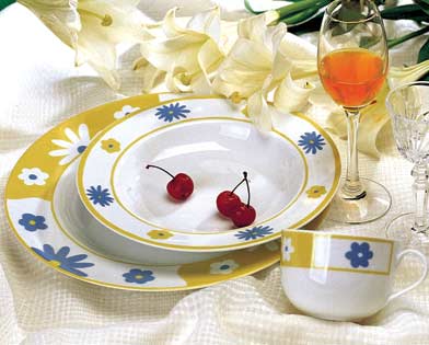 porcelain dinnerware, dinnerware, tableware, dinner set