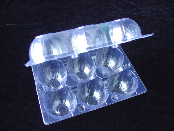 6 Egg Trays