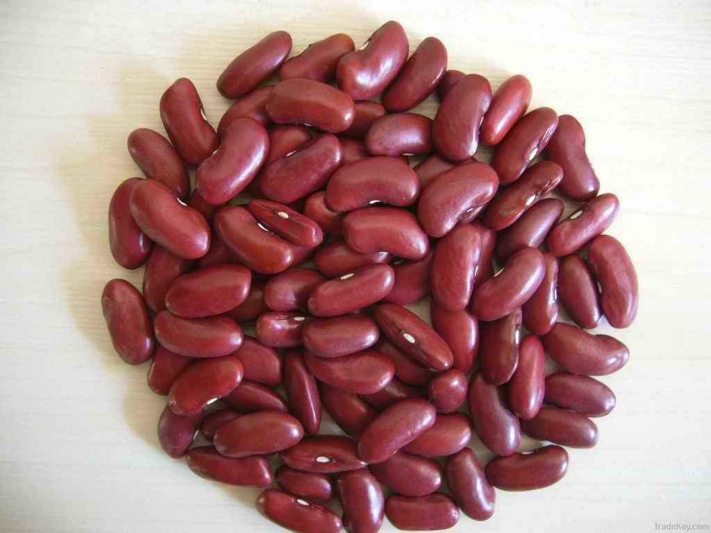 Red Kidney Beans