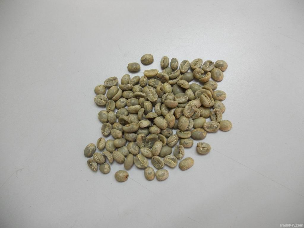 Export Arabica Coffee Beans | Arabica Coffee Bean Importer | Arabica Coffee Beans Buyer | Buy Arabica Coffee Beans | Arabica Coffee Bean Wholesaler | Arabica Coffee Bean Manufacturer | Best Arabica Coffee Bean Exporter | Low Price Arabica Coffee Beans | B