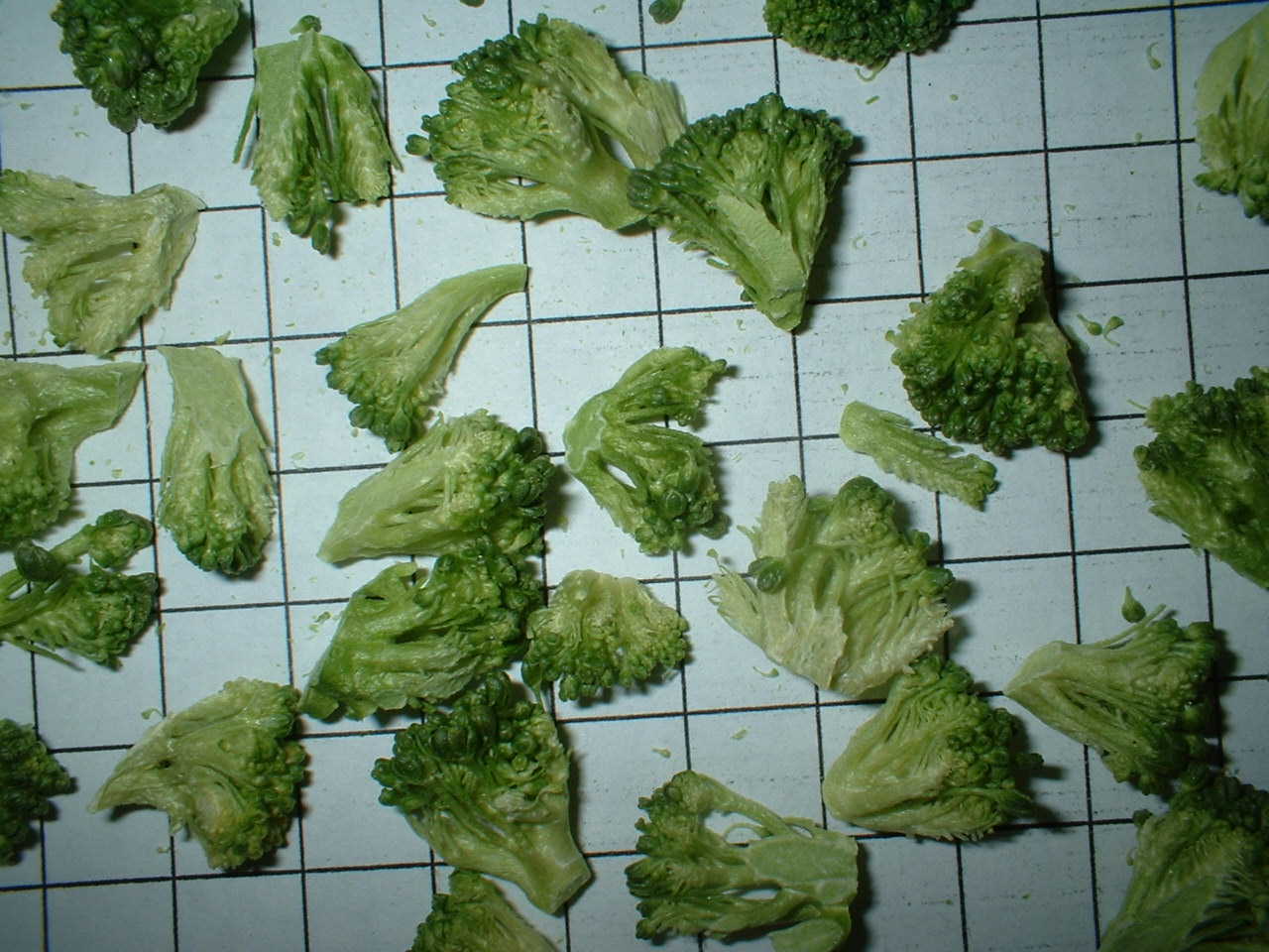freeze dried broccoli