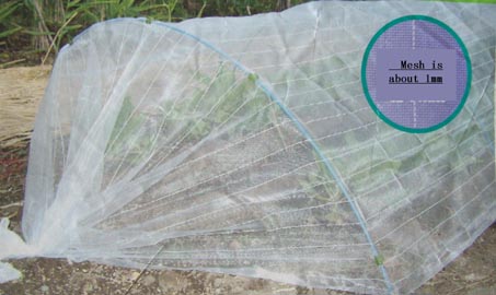 Anti-Insect Net