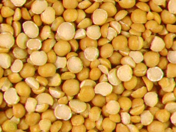 Yellow Split Peas,yellow split peas,split peas,dried split peas,split peas importers,split peas buyers,split peas importer,