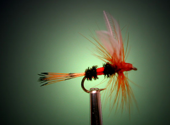 Mayfly Adult Fishing Flies