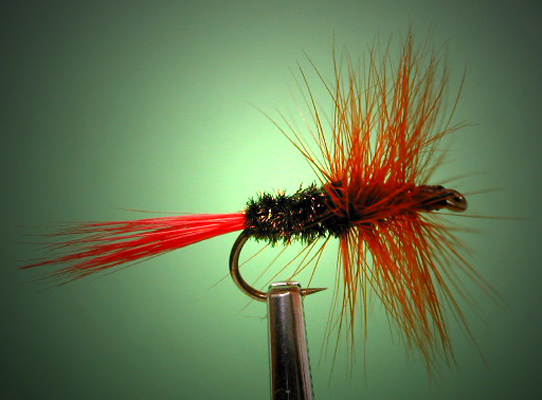 Truefly Adult Fishing Flies