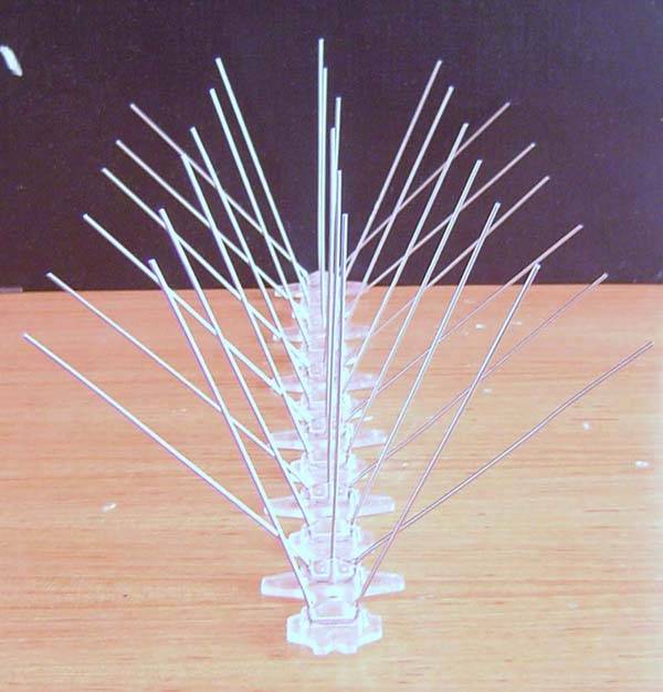 Plastic base stainless steel bird spikes