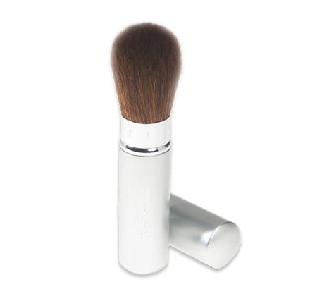 cosmetic brush kit