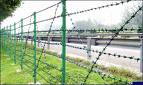 barbed wire mesh fence/razor barbed wire mesh