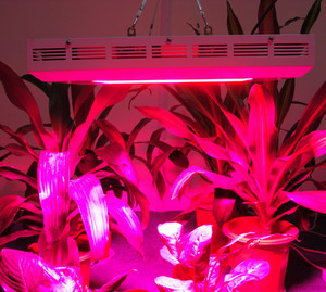 300W led hydroponics light