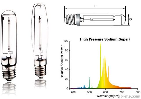 High pressure sodium lamp