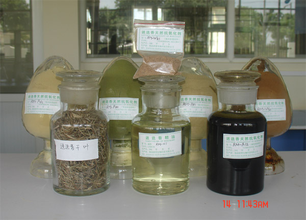 rosemary extracts, Carnosic acid, Ursolic acid, Rosmarinic acid, Rosem