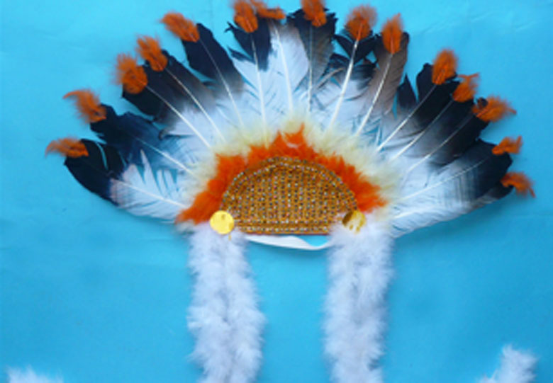 feather headgear
