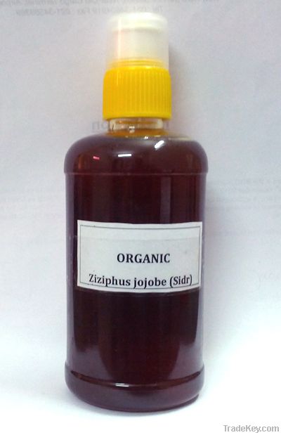 Organic Ziziphus Jojobe (Sidr) Honey
